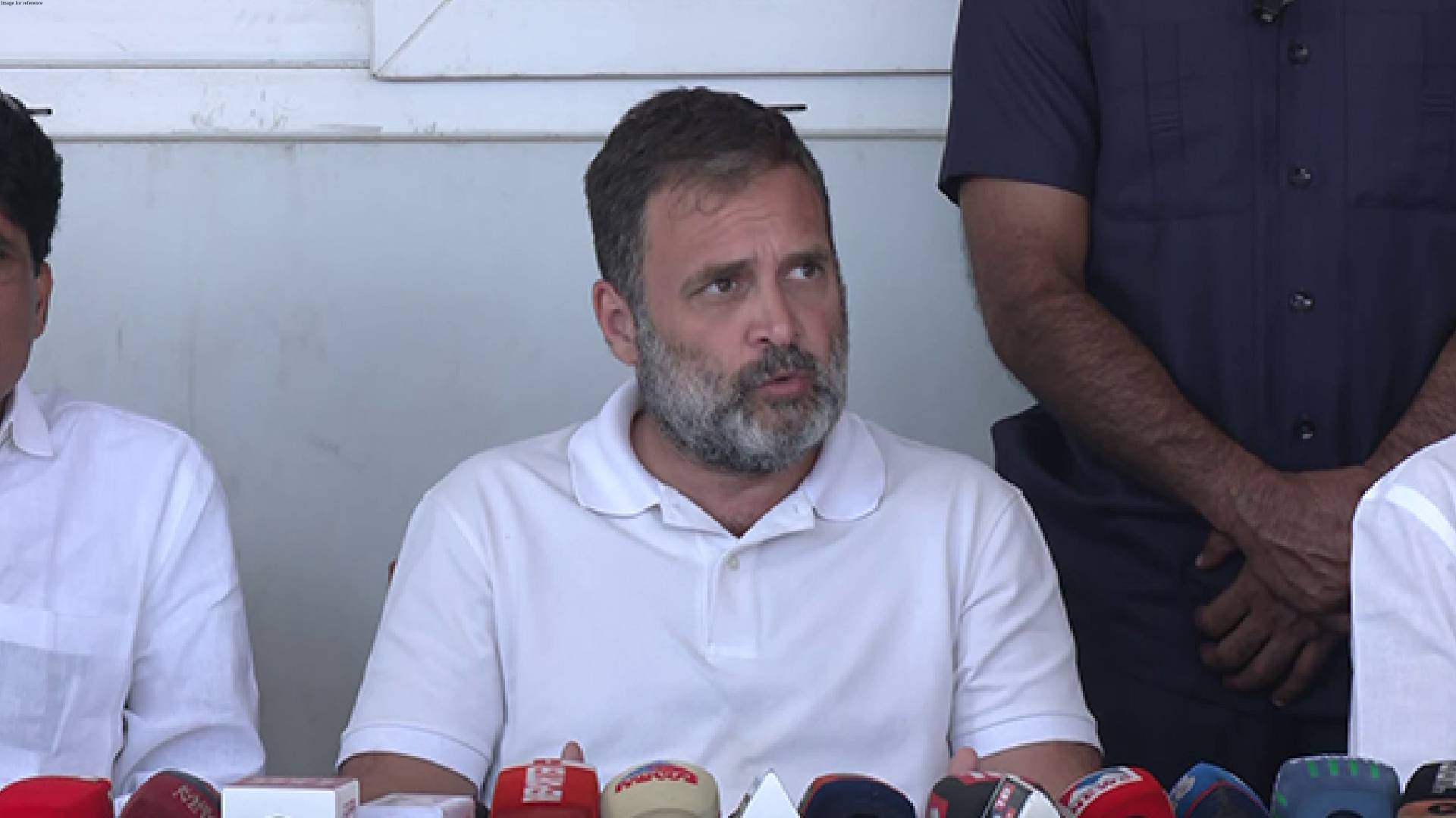 Rahul Gandhi demands immediate compensation to family of victim killed in wild elephant attack